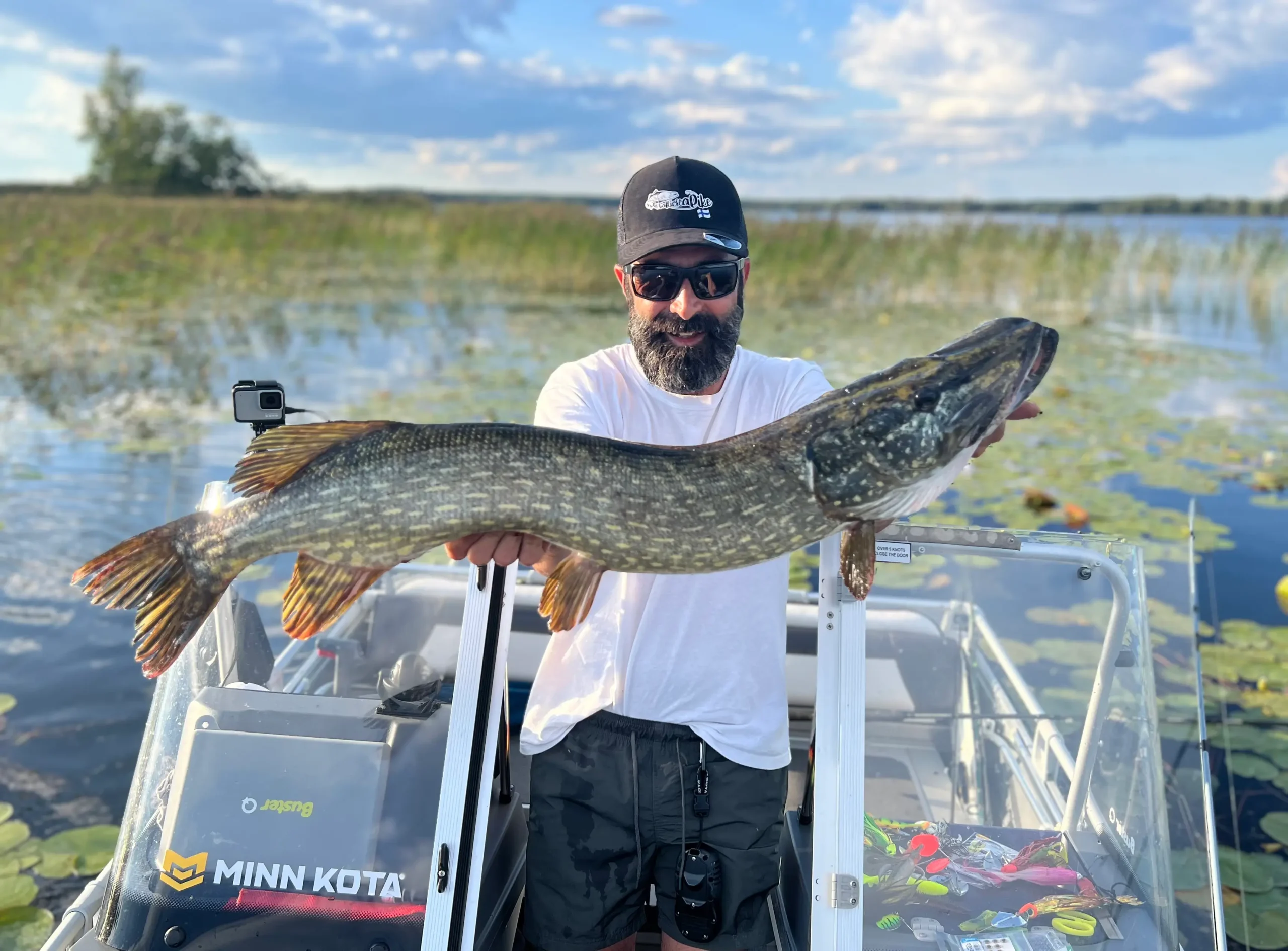 Finland Baltic Pike